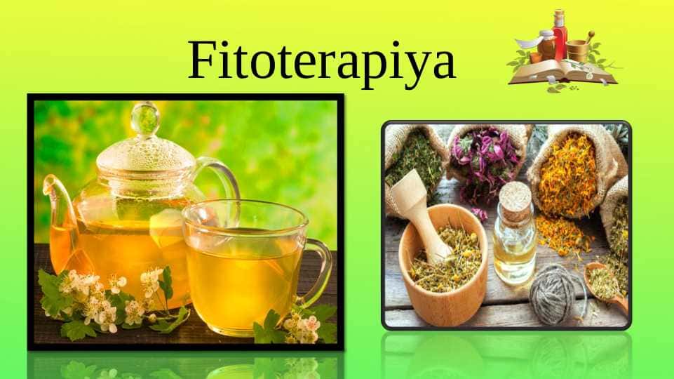 Fitoterapiya