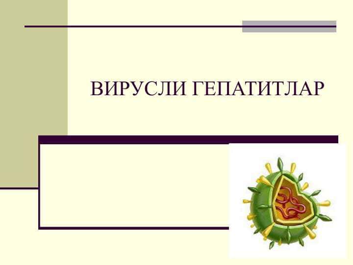 ВИРУСЛИ ГЕПАТИТЛАР