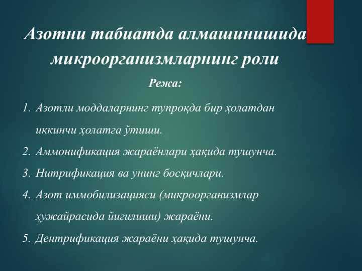 Азотни табиатда алмашинишида микроорганизмларнинг роли Режа: