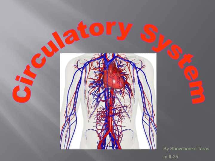 Circulatory System