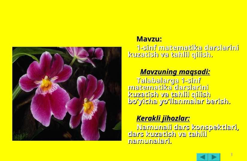 1-sinf matematika darslarini kuzatish va tahlil qilish
