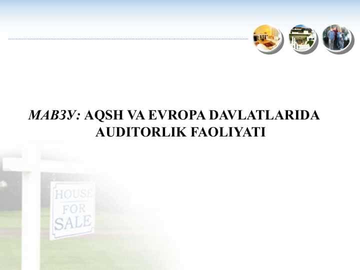 AQSH VA EVROPA DAVLATLARIDA AUDITORLIK FAOLIYATI