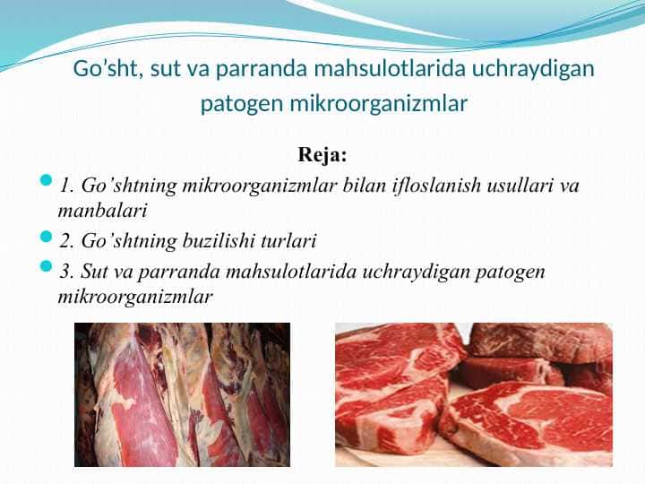 Go’sht, sut va parranda mahsulotlarida uchraydigan patogen mikroorganizmlar