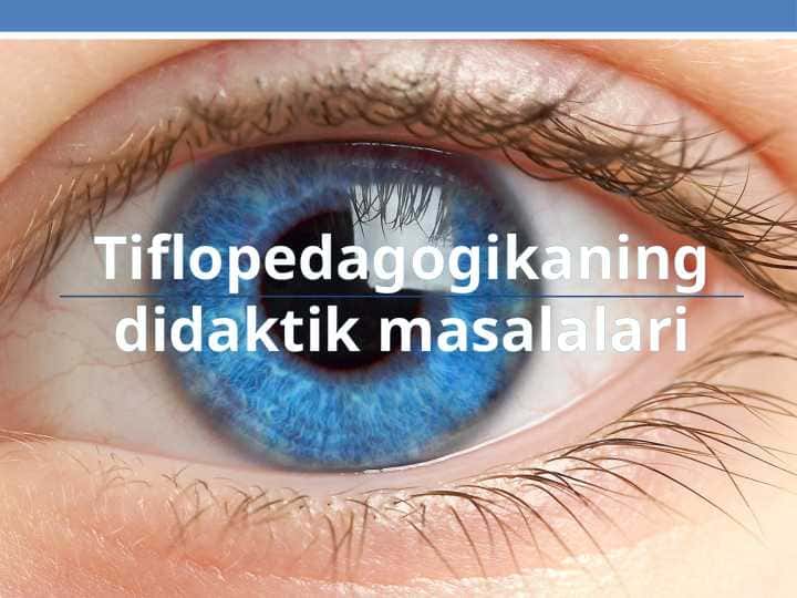 Tiflopedagogikaning didaktik masalalari