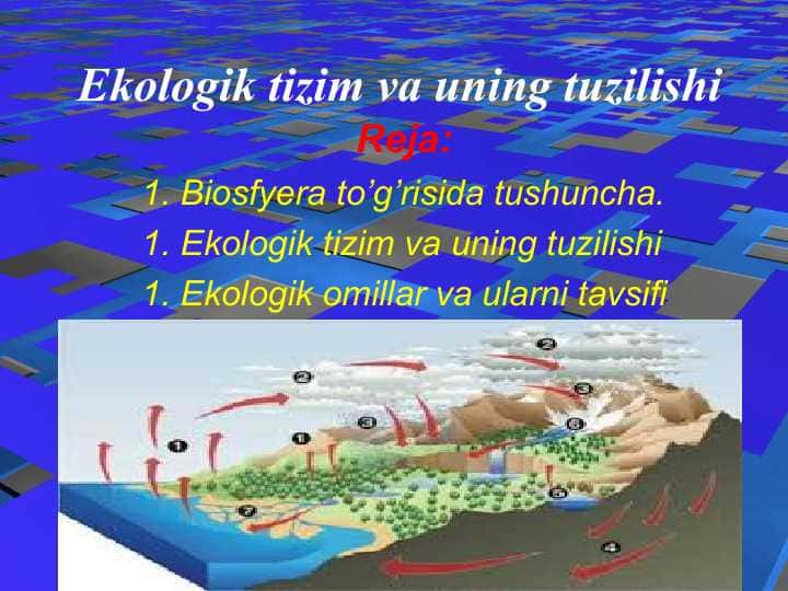 Ekologik tizim va uning tuzilishi