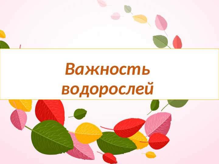 Важность водорослей