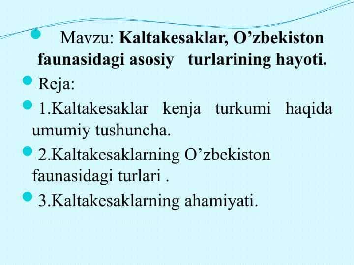 Kaltakesaklar, O’zbekiston faunasidagi asosiy turlarining hayoti