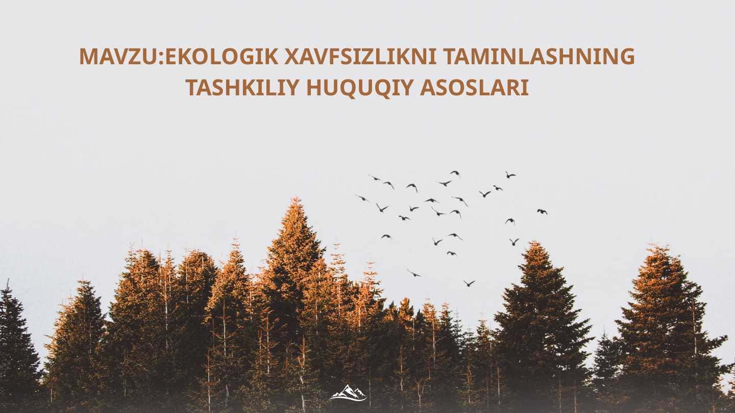 EKOLOGIK XAVFSIZLIKNI TAMINLASHNING TASHKILIY HUQUQIY ASOSLARI