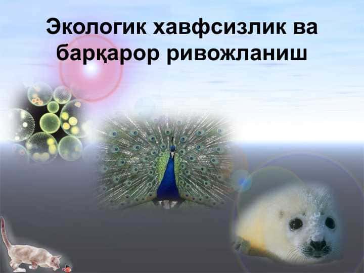 Экологик хавфсизлик ва барқарор ривожланиш
