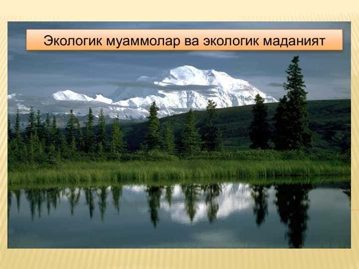 Экологик муаммолар ва экологик маданият