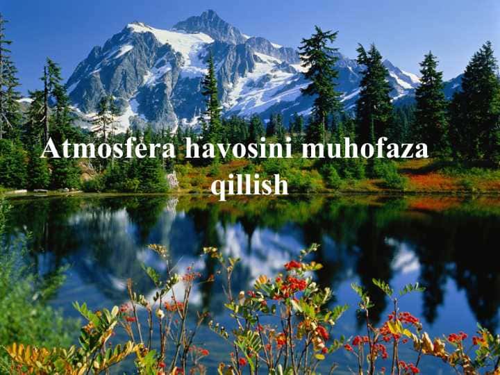 Atmosfera havosini muhofaza qillish