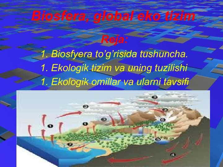 Biosfera, global eko tizim (2)