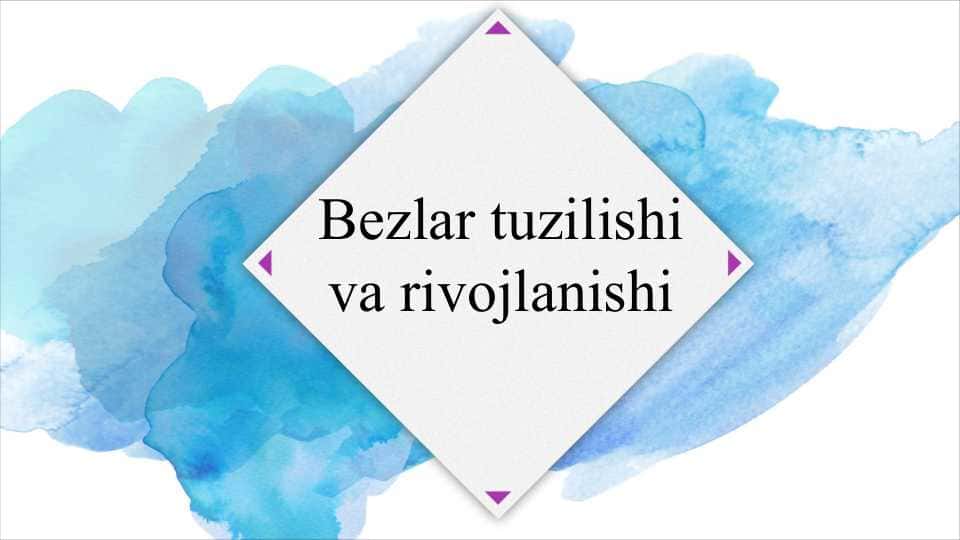 Bezlar tuzilishi va rivojlanishi SLAYD
