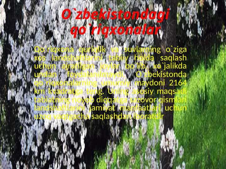 O`zbekistondagi qo`riqxonalar