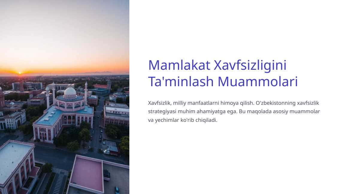 Mamlakat Xavfsizligini Ta'minlash Muammolari