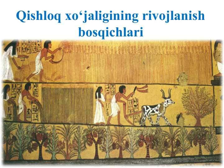 Qishloq xo‘jaligining rivojlanish bosqichlari