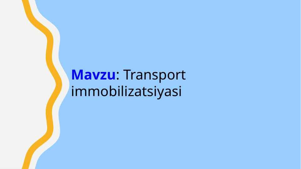 Transport immobilizatsiyasi