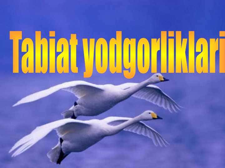 Tabiat yodgorliklari
