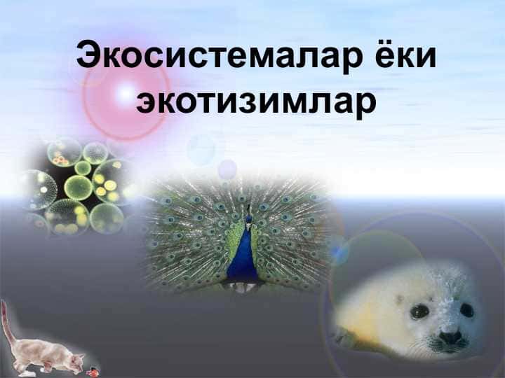 Экосистемалар ёки экотизимлар