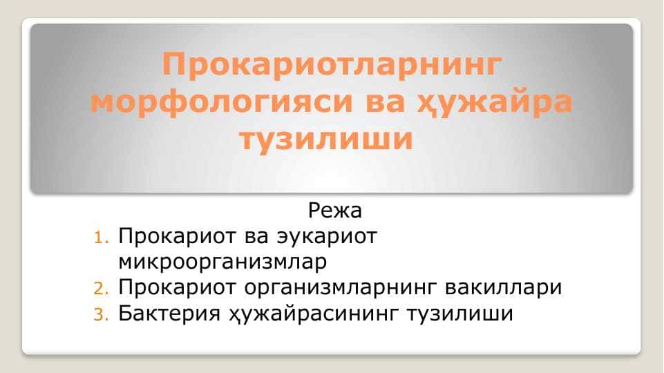Прокариотларнинг морфологияси ва ҳужайра тузилиши