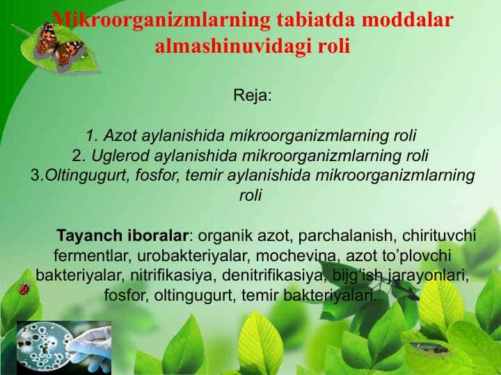 Mikroorganizmlarning tabiatda moddalar almashinuvidagi roli