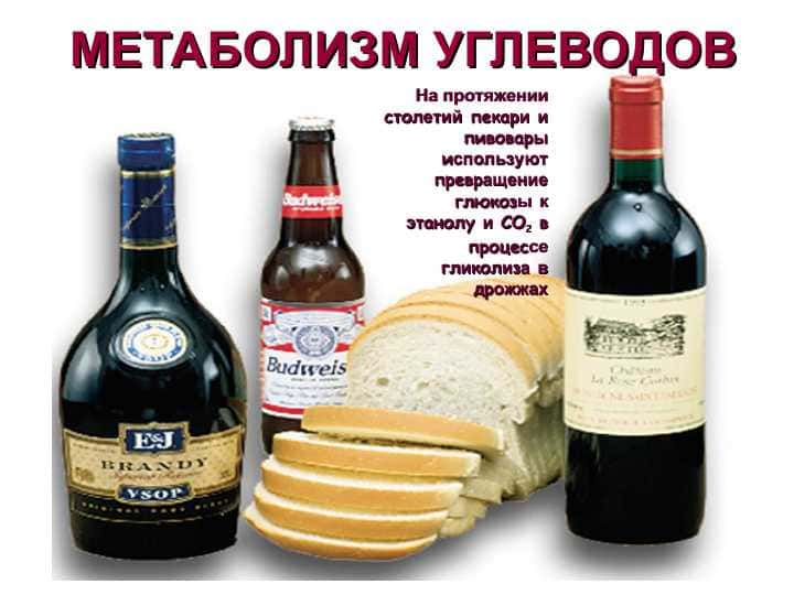 МЕТАБОЛИЗМ УГЛЕВОДОВ
