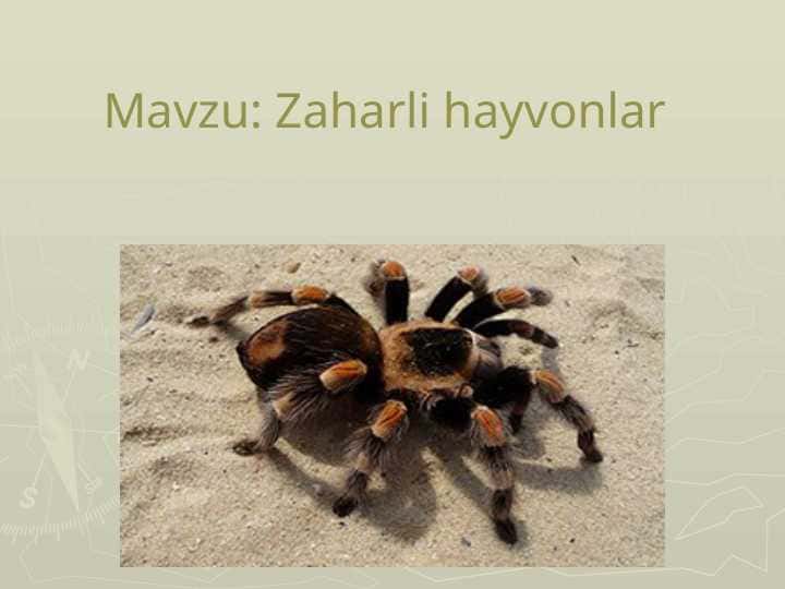 Zaharli hayvonlar