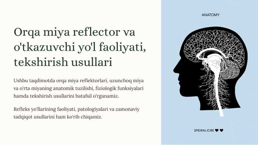 Orqa miya reflector va o`tkazuvchi yo`l faoliyati, tekshirish usullari. Uzunchoq miya va o`rta miya.