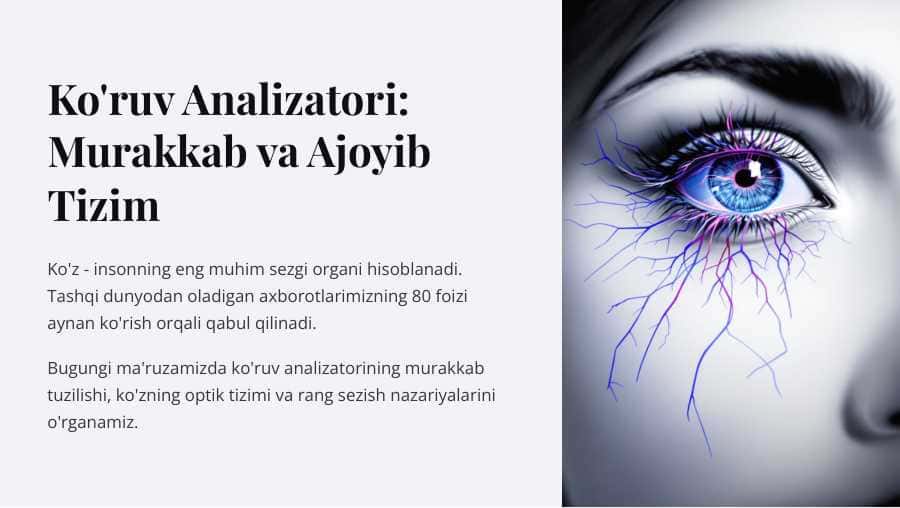 Ko’ruv analizatori. Ko`zning optik tizimi. Rang sezish nazariyalari.