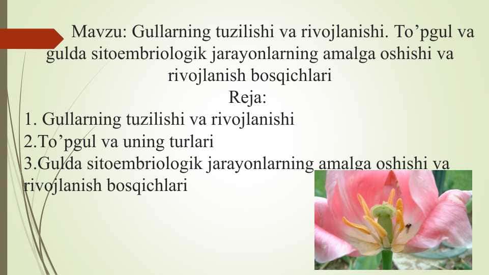 Gullarning tuzilishi va rivojlanishi. To’pgul va gulda sitoembriologik jarayonlarning amalga oshishi va rivojlanish bosqichlari