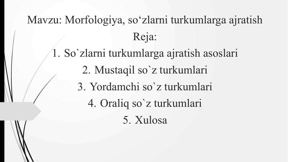 Morfologiya, so‘zlarni turkumlarga ajratish