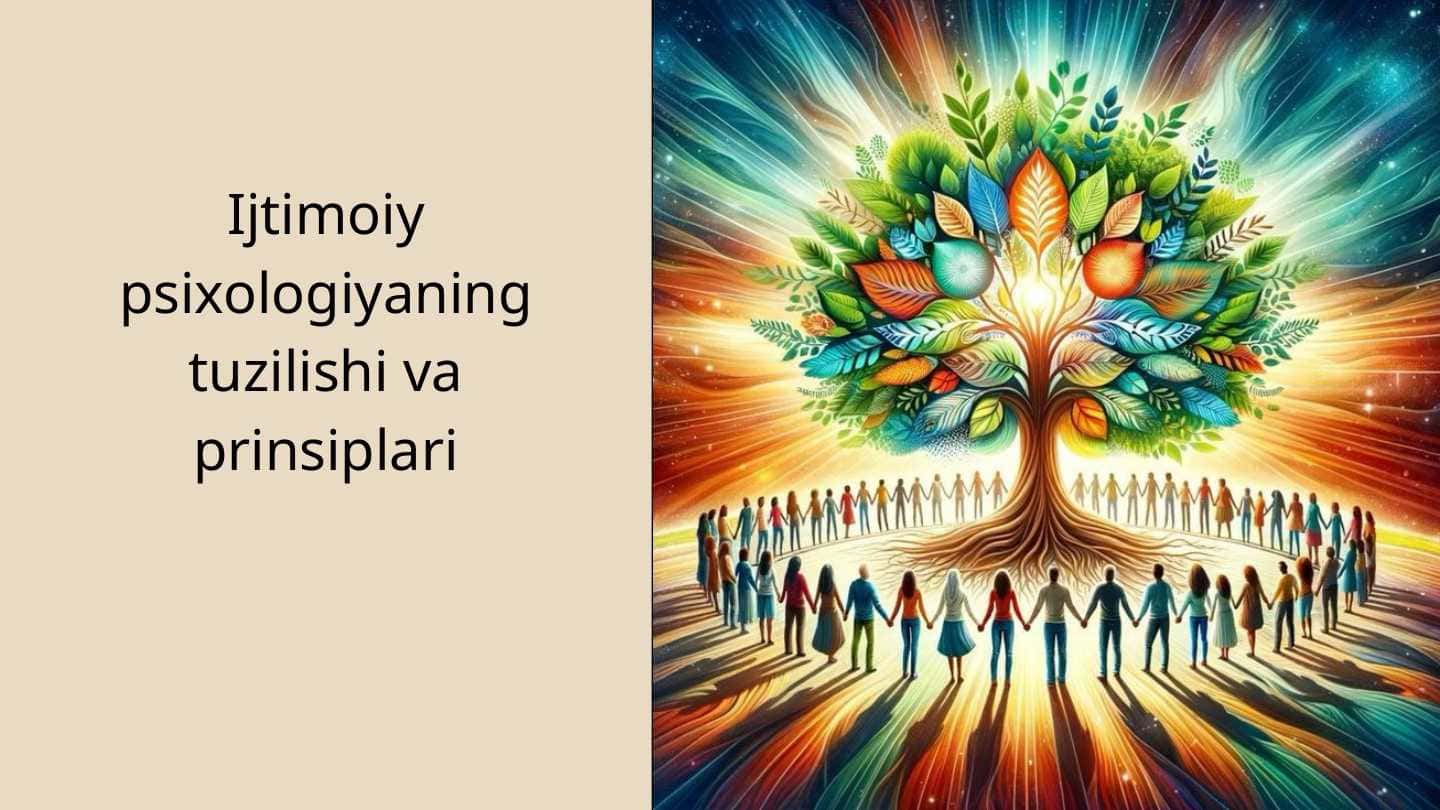 Ijtimoiy psixologiyaning tuzilishi va prinsiplari