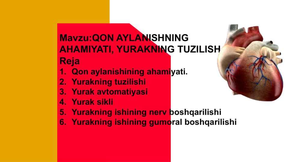 Mavzu:QON AYLANISHNING AHAMIYATI, YURAKNING TUZILISH