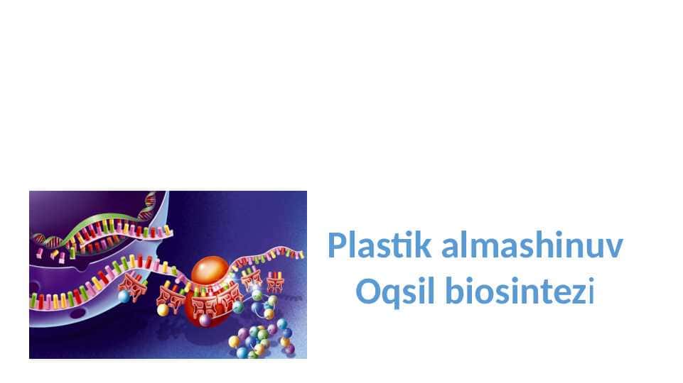 Plastik almashinuv Oqsil biosintezi