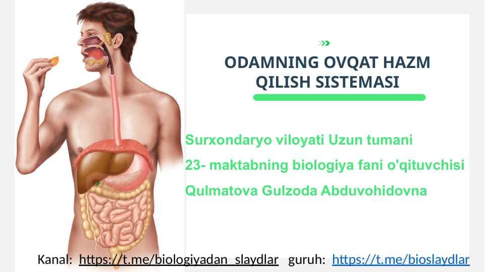 ODAMNING OVQAT HAZM QILISH SISTEMASI