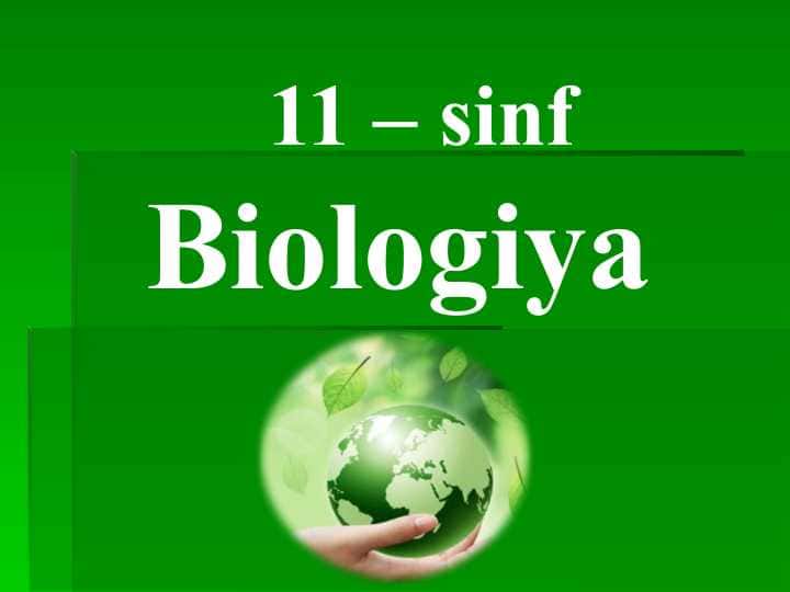 O`simliklar filogenezi. O`simliklarning vegetativ organlari filogenezi.”