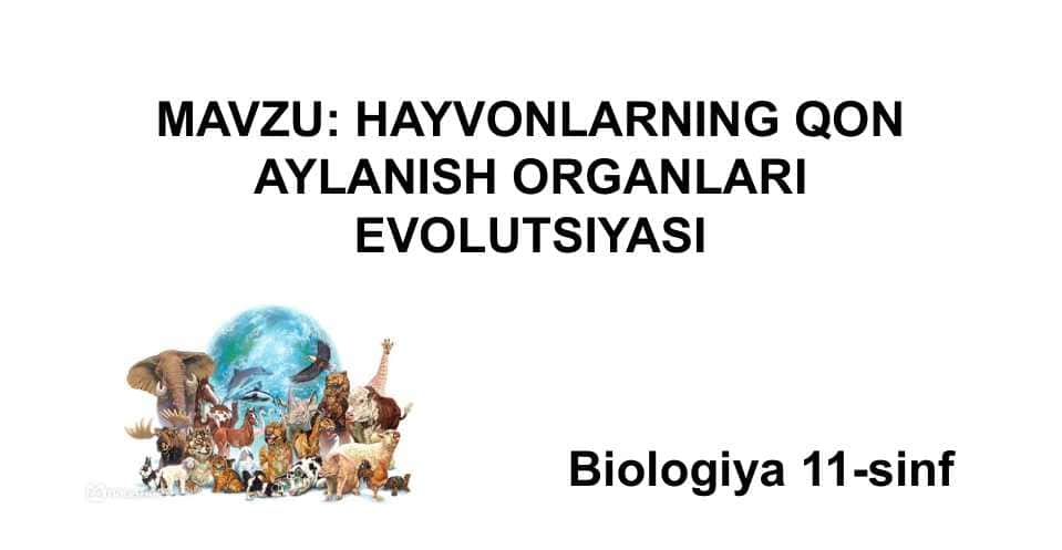 HAYVONLARNING QON AYLANISH ORGANLARI EVOLUTSIYASI