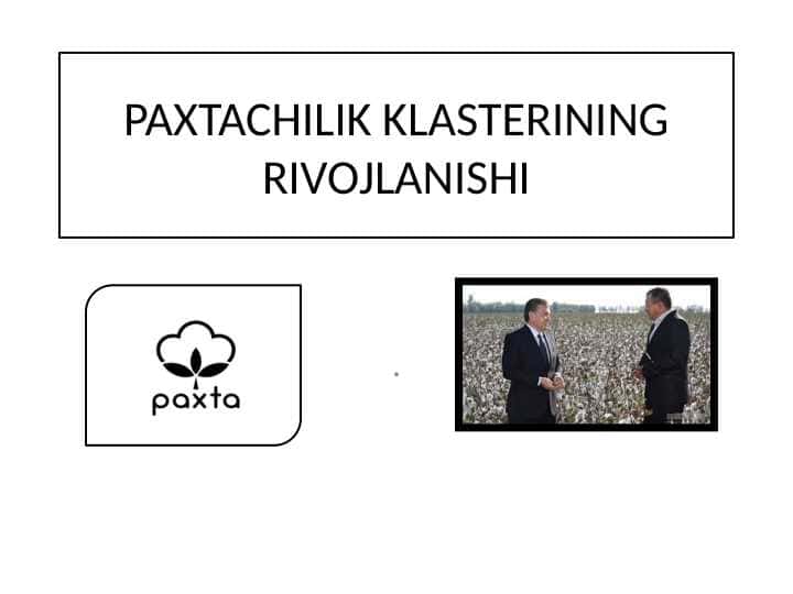 PAXTACHILIK KLASTERINING RIVOJLANISHI
