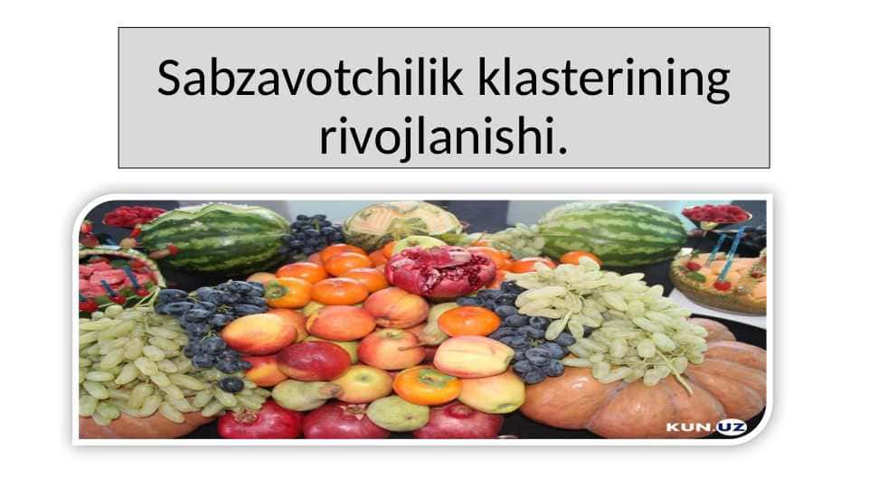 Sabzavotchilik klasterining rivojlanishi