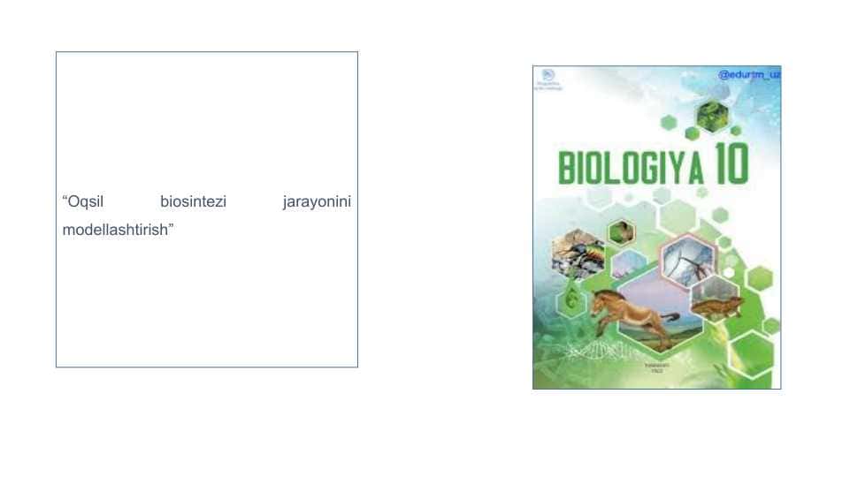Oqsil biosintezi jarayonini modellashtirish”