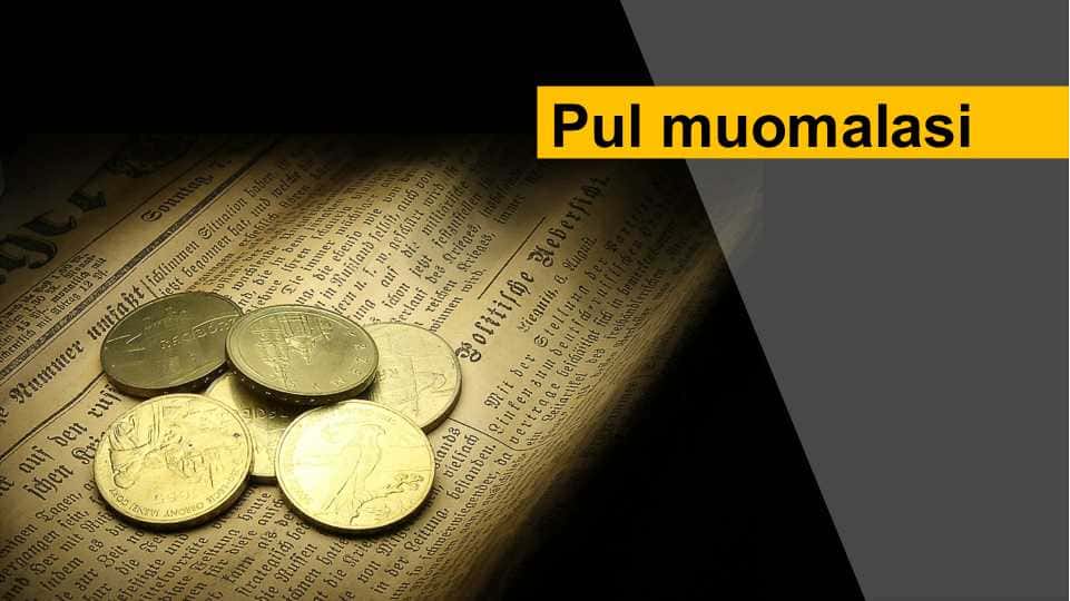Pul muomalasi . Pul muomalasini tashkil qilish va tartibga solish . Pul turlari