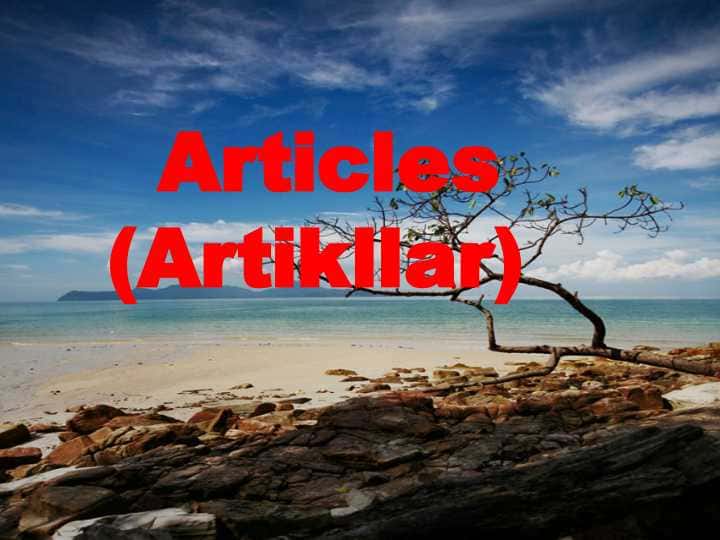 Articles(Artikllar)