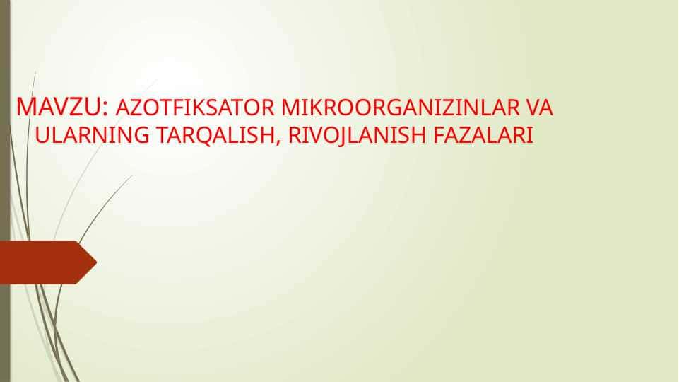 AZOTFIKSATOR MIKROORGANIZINLAR VA ULARNING TARQALISH, RIVOJLANISH FAZALARI