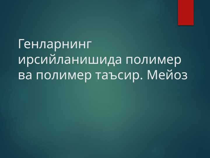 Генларнинг ирсийланишида полимер ва полимер таъсир. Мейоз