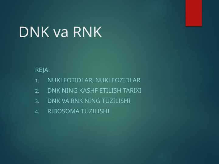 DNK va RNK