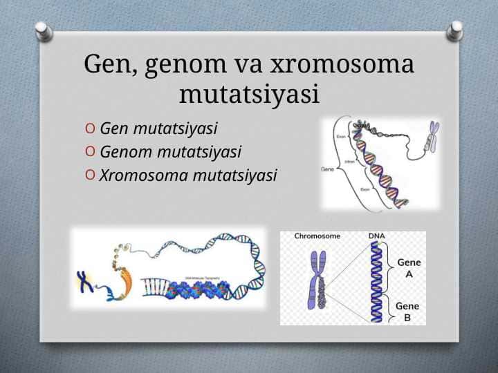 Gen, genom va xromosoma mutatsiyasi