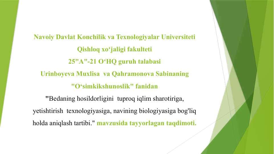 Bedaning hosildorligini tuproq iqlim sharotiriga, yetishtirish texnologiyasiga, navining biologiyasiga bog'liq holda aniqlash tartibi
