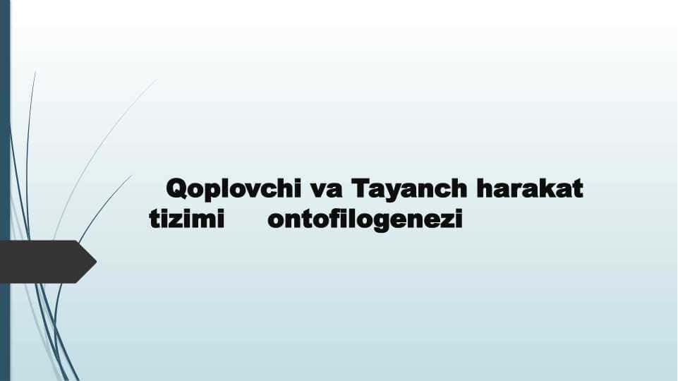 Qoplovchi va Tayanch harakat tizimi ontofilogenezi