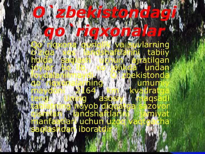 O`zbekistondagi qo`riqxonalar