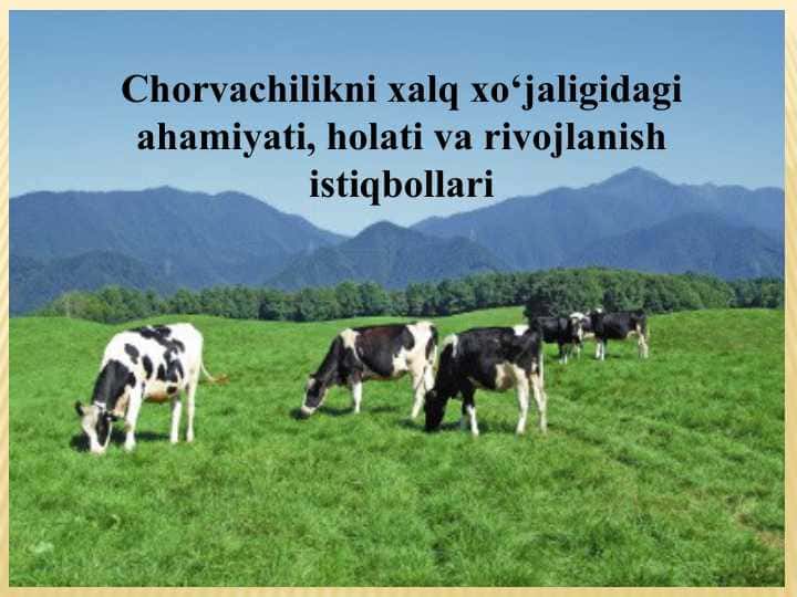Chorvachilikni xalq xo‘jaligidagi ahamiyati, holati va rivojlanish istiqbollari
